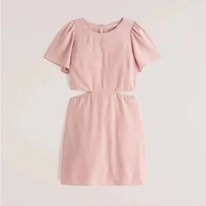 Abercrombie and Fitch Elegant Nude/Pink Mini Dress